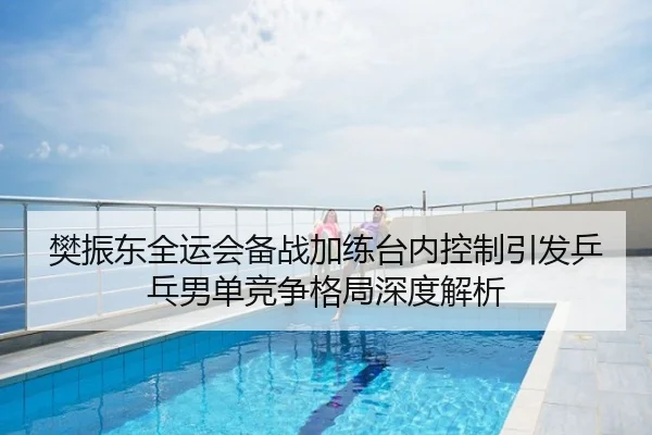 樊振东全运会备战加练台内控制引发乒乓男单竞争格局深度解析